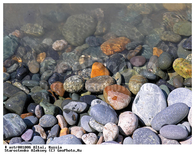 �����, ������, �����, �����, ����