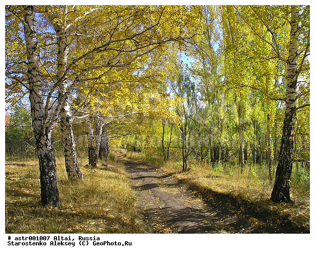 �����, ������, �����, ������, �����, ������