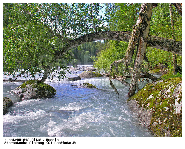 �����, ������, �����, ������, ����, ����