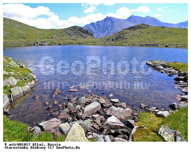 �����, ������, ����, ����, �����, ������