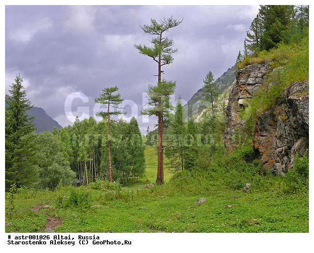 �����, ������, ����, ����, ������, �����