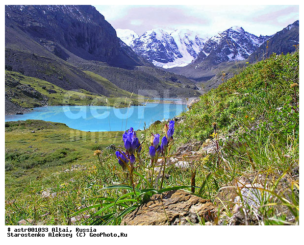 �����, ������, ����, �����, ����, �����