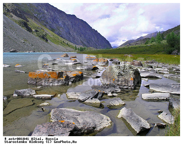 �����, ������, ����. �����, ����, ������