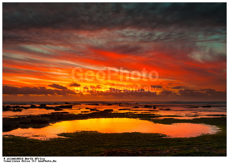 �����, ����, �������, ��������, �����, ������