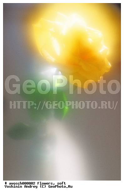 ����, �����