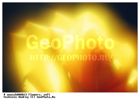 ����, �����