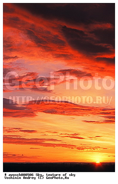 �����, ����, ������, ������� ����