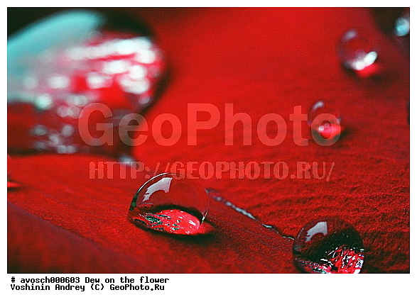 �����, ����, �����