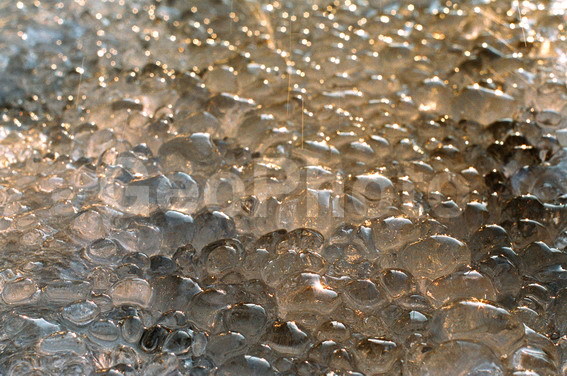 ���, ����, ���������, �����, �����, �����, ��������, ����