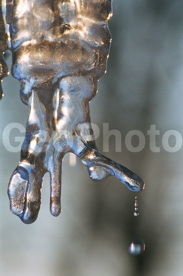 ���, ����, ���������, �����, �����, �����, ��������, ����