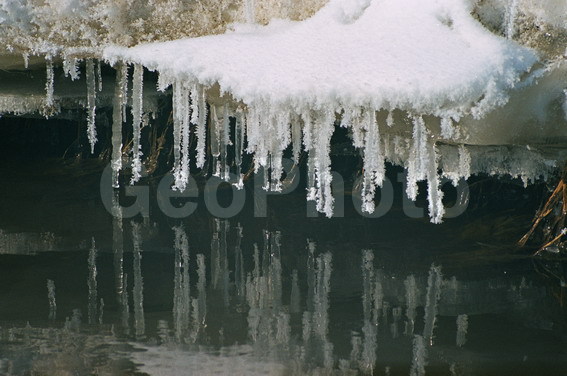 ���, ����, ���������, �����, �����, �����, ��������, ����