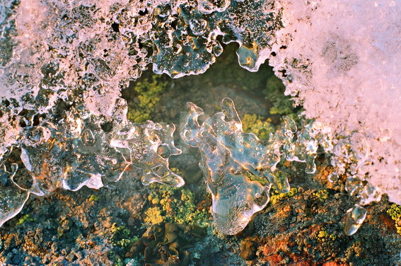 ���, ����, ���������, �����, �����, �����, ��������, ����