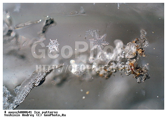 �������, ����, ����, ���������, ����, ����, �����