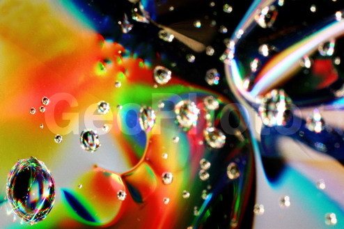 ����������, ������, �����������, ��������, �����, ����������� �����, ���, ����