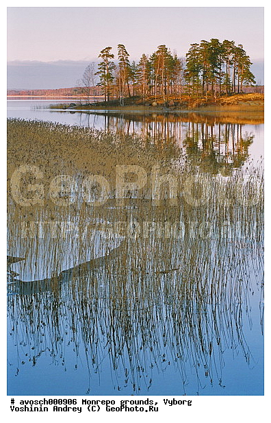 ������������� �������, �������, ����������� �������, ����