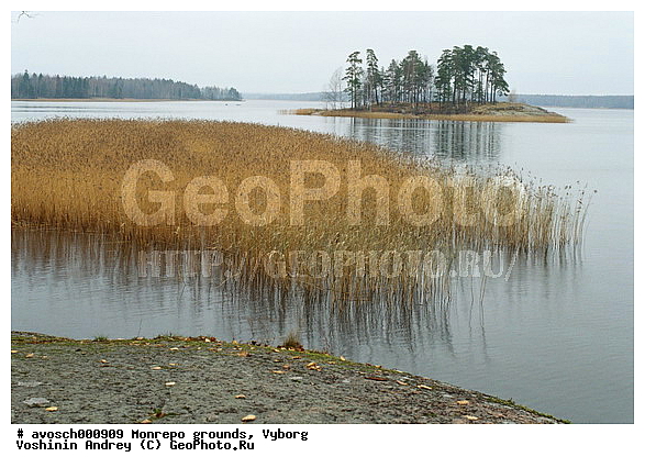 ������������� �������, �������, ����������� �������, ����