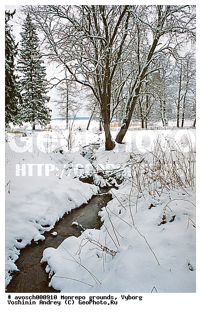 ������������� �������, �������, ����������� �������, ����