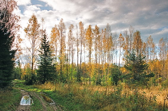 ���������, ���������, ������������� �����, ������������� �������, ������, �����, �����, ����