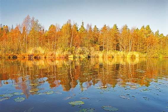 ���������, ���������, ������������� �����, ������������� �������, ������, �����, �����, ����