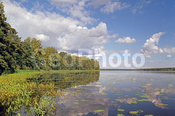 ���������, ���������, ������������� �����, ������������� �������, ������, ������, ����, �����