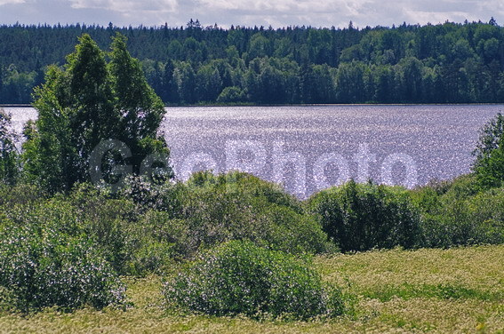 ���������, ���������, ������������� �����, ������������� �������, ������, ������, ����, �����