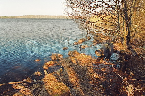 ���������, ���������, ������������� �����, ������������� �������, �����, ���, �����