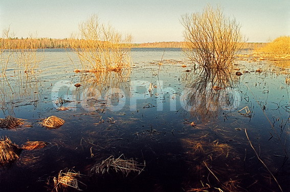 ���������, ���������, ������������� �����, ������������� �������, �����, ���, �����