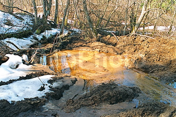 ���������, ���������, ������������� �����, ������������� �������, �����, ���, �����