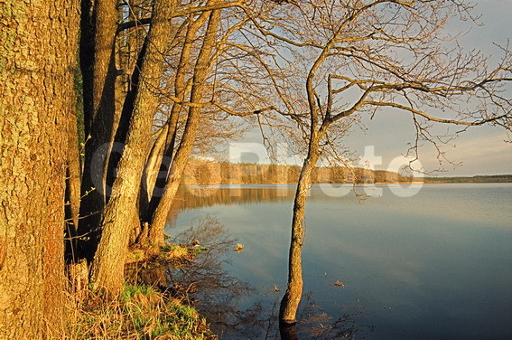 ���������, ���������, ������������� �����, ������������� �������, �����, ���, �����