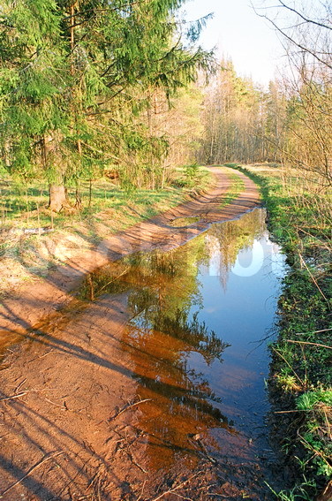 ���������, ���������, ������������� �����, ������������� �������, �����, ���, �����