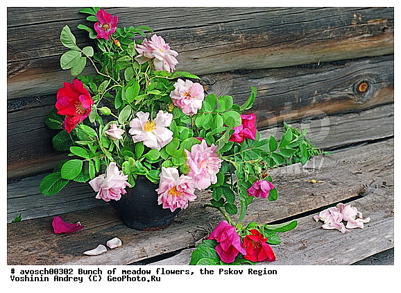 ��������� �������, �����, ������, ������� �����, �����