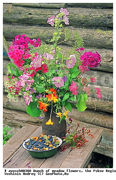 ��������� �������, �����, ������, ������� �����, �����