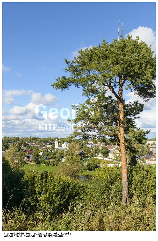 �������� �������, ������, ������, ���, ��� �� �����, ������� �����