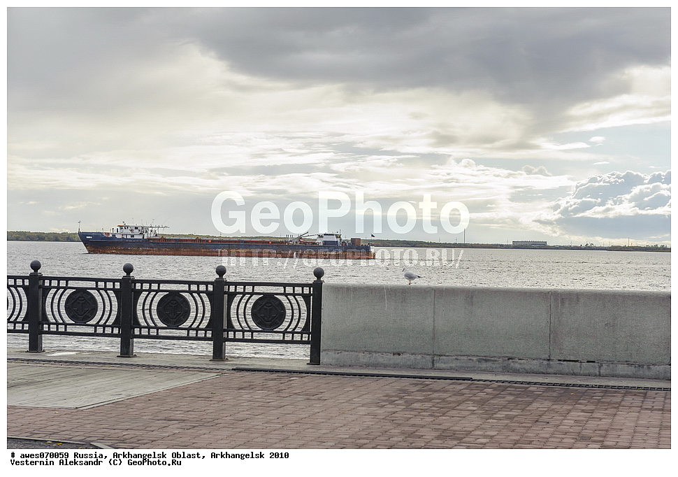 �����������, ������������� �������, ������, 2010 ���, ����, ���� �������� �����, ����������, �������, �����, ��������