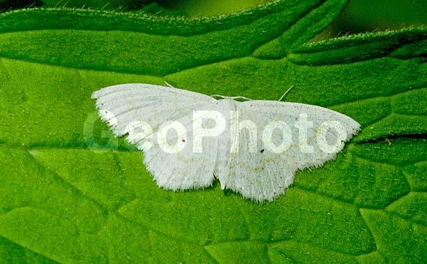 �������, ���������, ��������������, �������������, ��������������