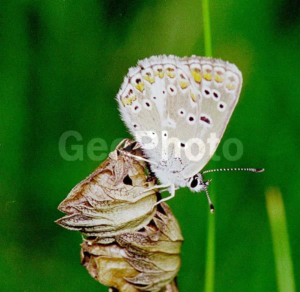 �������, ���������, ��������������, �������������, ��������������