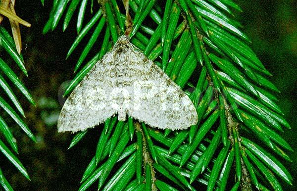 �������, ���������, ��������������, �������������, ��������������