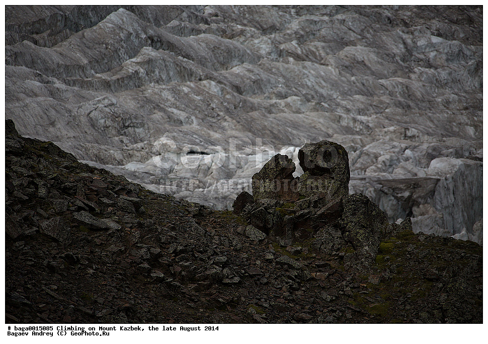 �����������, ����, ������, ������, ������, ������, ����, �����, ��������, ������, ������, ���, ������, �������, ������