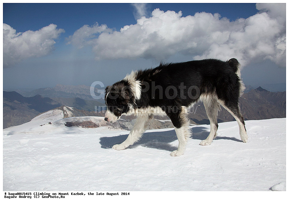 �����������, ����, ������, ������, ������, ������, ����, �����, ��������, ������, ������, ����, ������, ��������, ����, ������