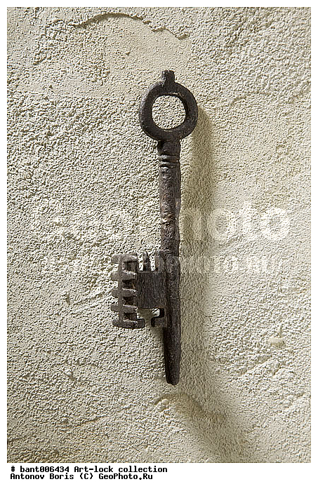 �����������, ��������, �����, ������������, ����, �����, ���������, ������, ��������