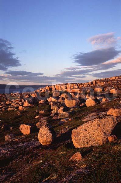 �������, �����, �����, ���������, �����, ������, ���������, �������, ������