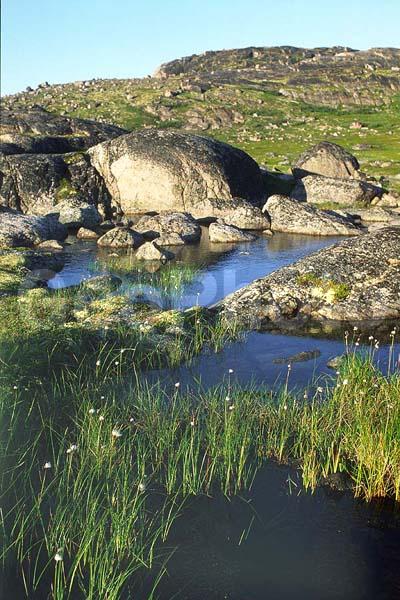 �������, �����, ������, ����, ���������, ����, �����, �������, ������, ������