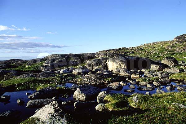 �������, �����, ������, ����, ���������, �����, ����, �����, �������, ������