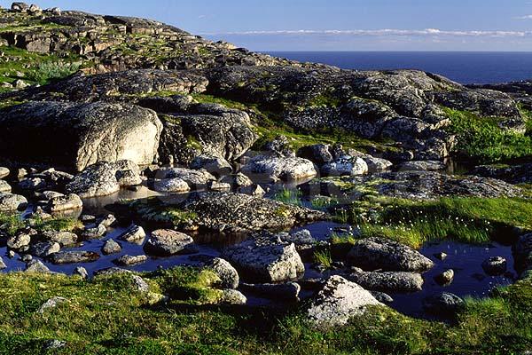 �������, �����, ������, ����, ���������, �����, ����, �����, �������, ������