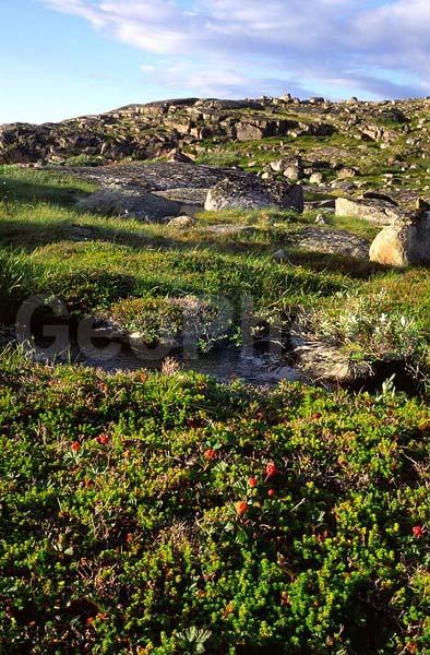 �������, ��������� ����, �������� ����������, ������, �����, ����, �����, ������