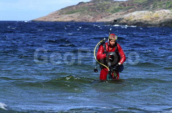 �������, �����, �����������, �������, �������, ���������, ����, ��������� �����