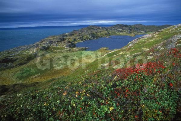 ��������� ����, �������� ����������, �����, ��������� �����, ������� �����, ����