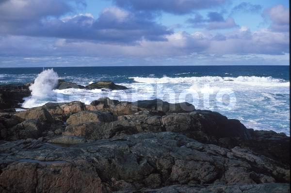 ��������� ����, �������� ����������, �����, ��������� �����, �����, ����, ������