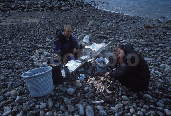 ��������� ����, �������� ����������, �����, ������������, �������������, �������, ���������� ����, ����, �����, ������