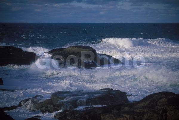 ��������� ����, �������� ����������, �����, ��������� �����, �����, ����, ������